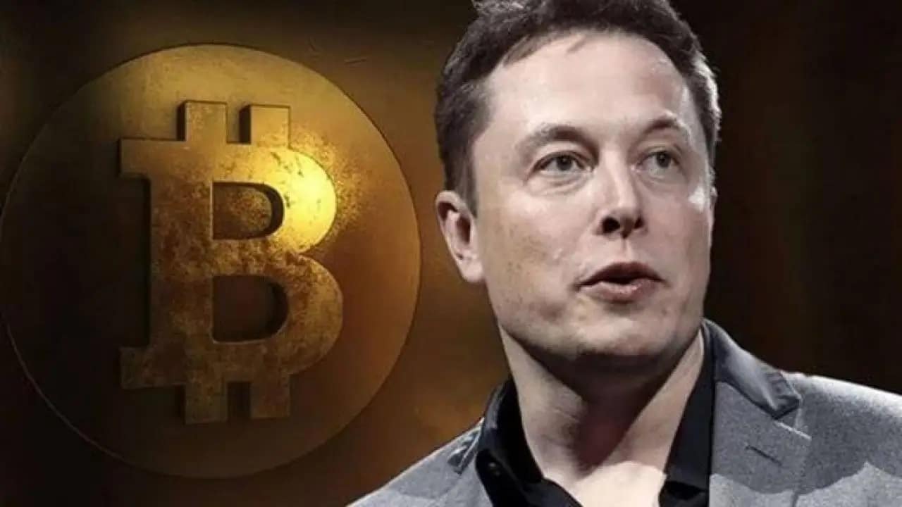 elon musk btc