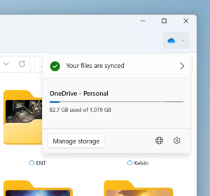 OneDrive File Explorer