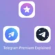 What is Telegram Premium