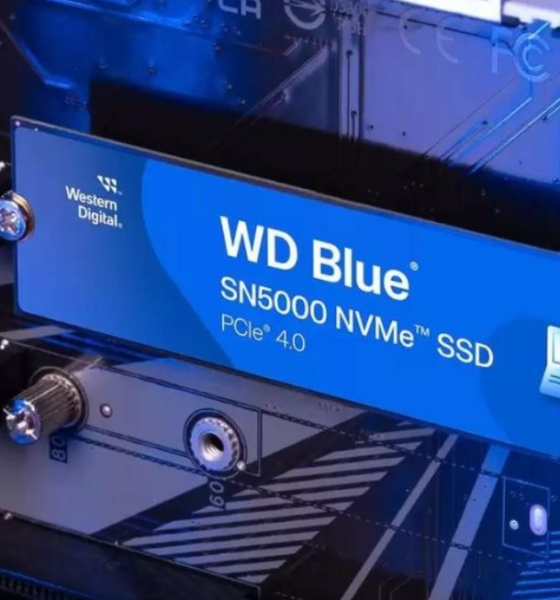 WD Blue SN5000 وحدة التخزين المثلى للأداء الفائق والإبداع