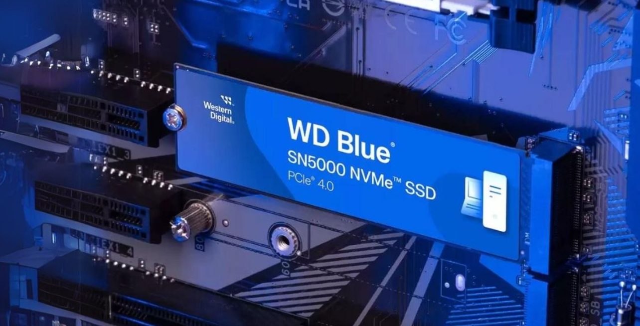 WD Blue SN5000 وحدة التخزين المثلى للأداء الفائق والإبداع