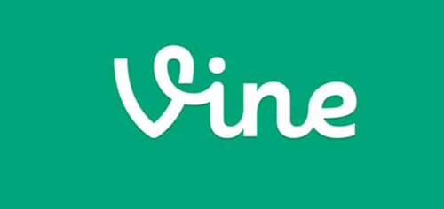 إيلون ماسك يستكشف إحياء منصة Vine لمواجهة تيك توك