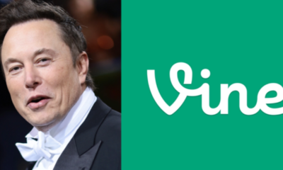 إيلون ماسك يستكشف إحياء منصة Vine لمواجهة تيك توك