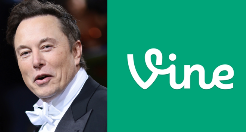 إيلون ماسك يستكشف إحياء منصة Vine لمواجهة تيك توك