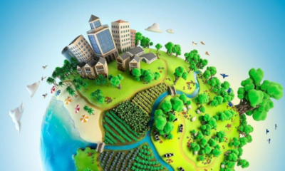 Project EverGreen تطلق أداة مجانية لتقييم تأثير المساحات الخضراء على جودة الهواء