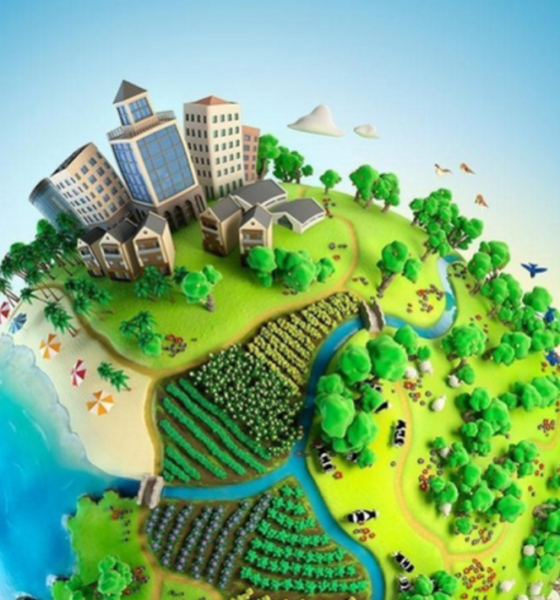 Project EverGreen تطلق أداة مجانية لتقييم تأثير المساحات الخضراء على جودة الهواء