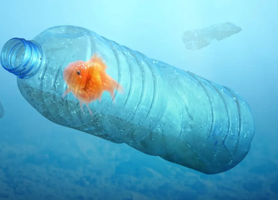 الذكاء الاصطناعي يفتح آفاقًا جديدة لتقليل التلوث البلاستيكي بابتكار بوليمر أقوى بأربع مرات