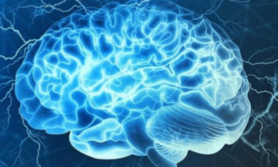 شريحة دماغية تحول الأفكار إلى كلمات منطوقة