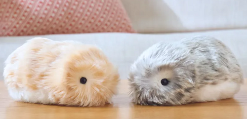 كاسيو تطلق موفلين حيوان أليف افتراضي بالذكاء الاصطناعي لتعزيز الصحة النفسية