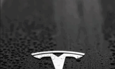 حصة تسلا السوقية في أميركا تهبط إلى أدنى مستوى منذ 2017