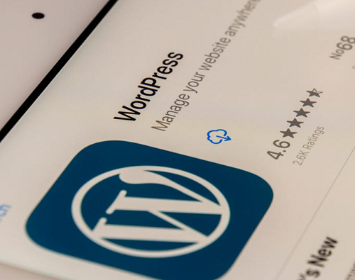 ووردبريس تدخل سباق الذكاء الاصطناعي عبر أداة Telex لتطوير المواقع