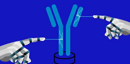 ثورة في الطب الحديث ابتكار أجسام مضادة ذكية عبر الذكاء الاصطناعي