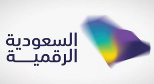 السعودية تقفز للعالميةكيف أصبحت ضمن أفضل دولتين في نضج الحكومة الرقمية في 2025؟