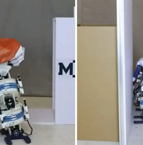 روبوت صيني مرن يُحاكي شخصية بايماكس تغيير الشكل، الطفو، السباحة والطيران