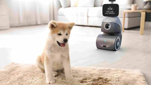 روبوت ذكي لرعاية الحيوانات الأليفة يدمج الإطعام واللعب وتحليل المشاعر أثناء غياب المالك
