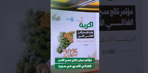 البيانات الرقمية ترسم خريطة الأمن الغذائي في سوريا نتائج مسح أسري شامل لعام 2025