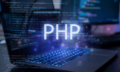 ثغرة PHP الأمنية تهدد ملايين المواقع وتثير مخاوف من انقطاع الخدمات